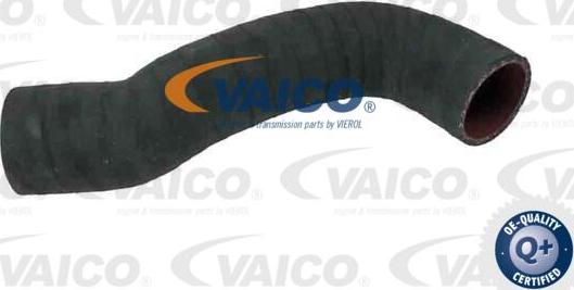 VAICO V95-0351 - Crevo interkulera www.parts5.com