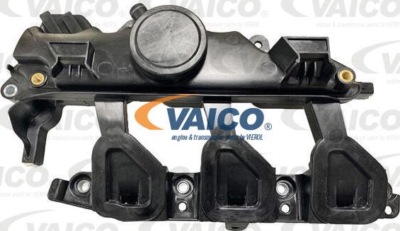 VAICO V46-1192 - Модуль впускной трубы www.parts5.com