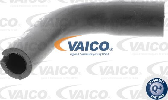 VAICO V40-1991 - Hose, crankcase breather www.parts5.com