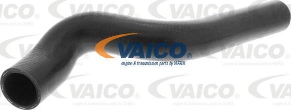 VAICO V40-1170 - Radiator Hose www.parts5.com