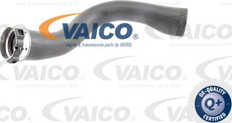 VAICO V40-1364 - Charger Intake Air Hose www.parts5.com