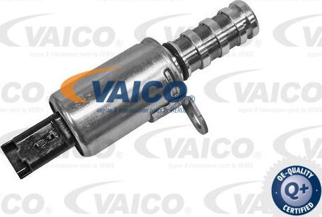 VAICO V42-0629 - Supapa comanda, poz. arbore cu came www.parts5.com