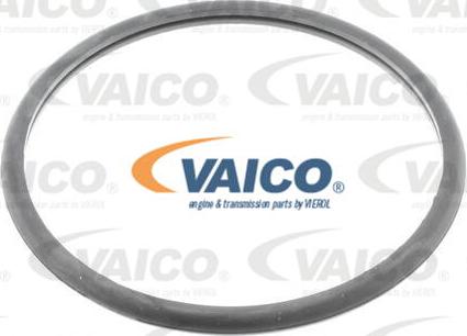 VAICO V42-0008 - Polttoainesuodatin www.parts5.com