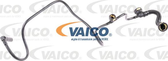 VAICO V42-0800 - Hose, crankcase breather www.parts5.com