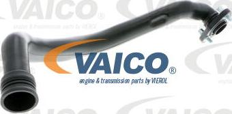 VAICO V10-9766 - Hose, cylinder head cover breather www.parts5.com