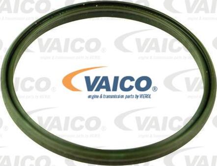 VAICO V10-4453 - Zaptivni prsten, crevo interkulera www.parts5.com