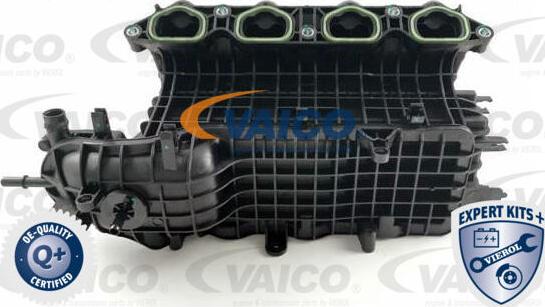 VAICO V10-4475 - Nasávacie čerpadlo oleja www.parts5.com