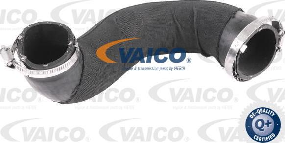 VAICO V10-4798 - Tubo flexible de aire de sobrealimentación www.parts5.com