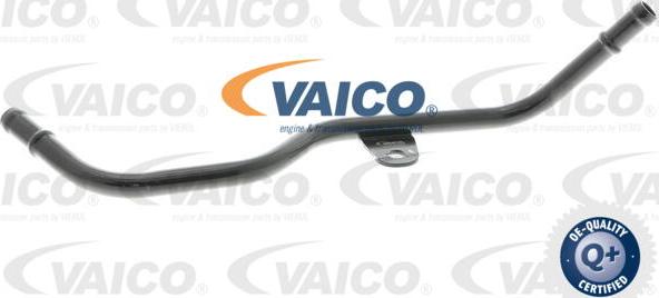 VAICO V10-4789 - Gibka cev, dovod zraka www.parts5.com