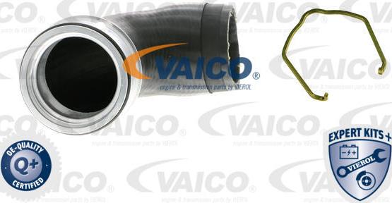 VAICO V10-5307 - Furtun ear supraalimentare www.parts5.com