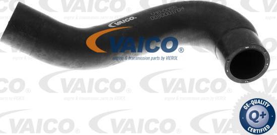 VAICO V10-0055 - Radiator Hose www.parts5.com