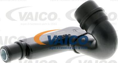 VAICO V10-0777 - Crevo, odušak zaptivke na poklopcu glave cilindra www.parts5.com