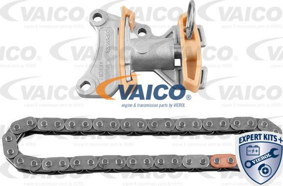 VAICO V10-10003-BEK - Chit lant de distributie www.parts5.com