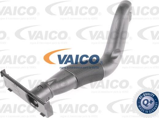 VAICO V10-3570 - Imuputki, tuloilma www.parts5.com