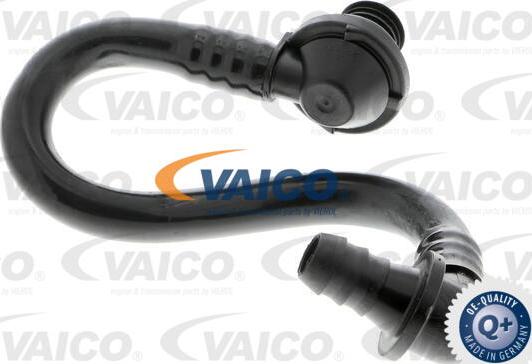 VAICO V10-3646 - Düşük basınç hortumu, fren sistemi www.parts5.com