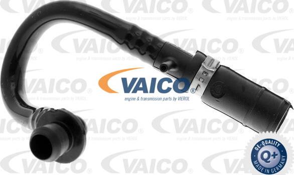 VAICO V10-3640 - Survevoolik,pidurisüsteem www.parts5.com