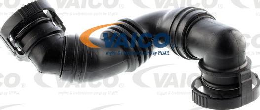 VAICO V10-3100 - Hose, crankcase breather parts5.com