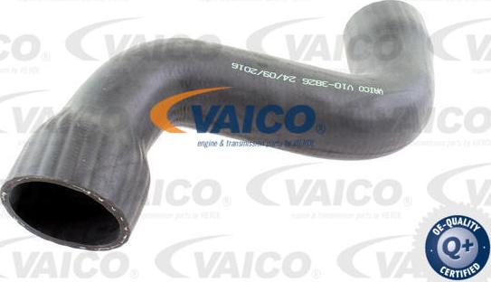 VAICO V10-3826 - Furtun ear supraalimentare www.parts5.com