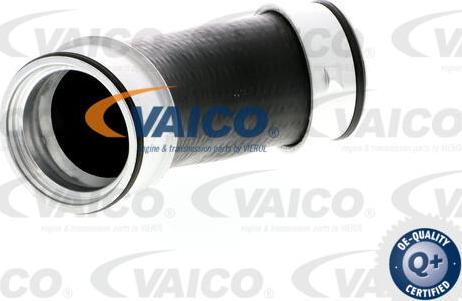 VAICO V10-2900 - Furtun ear supraalimentare www.parts5.com