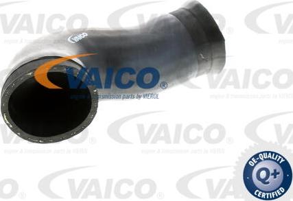 VAICO V10-2924 - Przewód powietrza doładowującego www.parts5.com