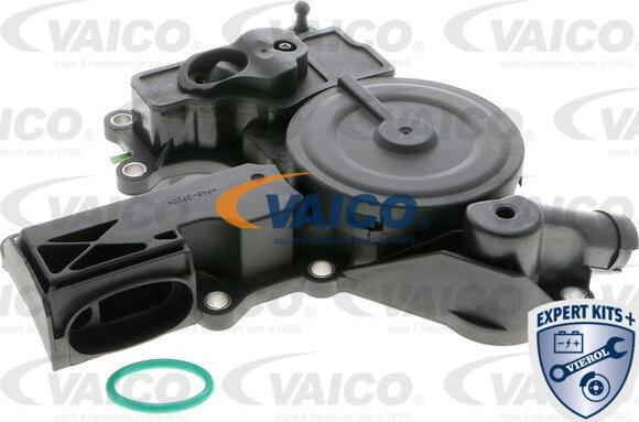 VAICO V10-2595 - Oljni izlocevalnik, oddusnik ohisja (blok) motorja www.parts5.com