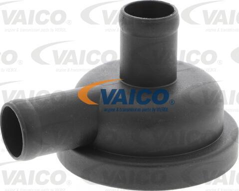 VAICO V10-2504-1 - Laadesurve kontrollklapp www.parts5.com