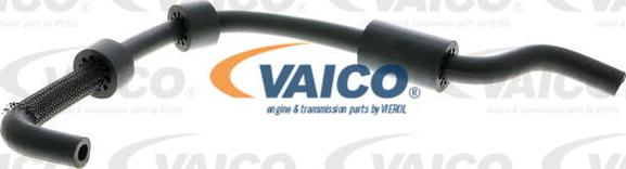 VAICO V10-2800 - Crevo hladnjaka www.parts5.com