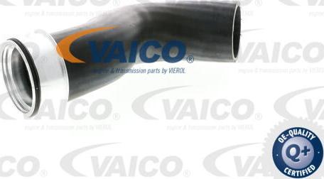 VAICO V10-2833 - Трубка, нагнетание воздуха www.parts5.com