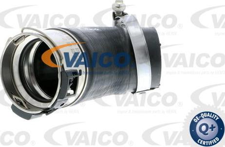 VAICO V10-2832 - Charger Intake Air Hose www.parts5.com