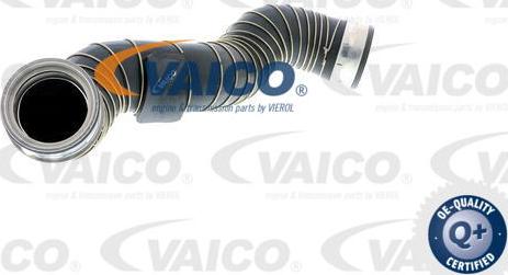 VAICO V30-1775 - Charger Intake Air Hose parts5.com