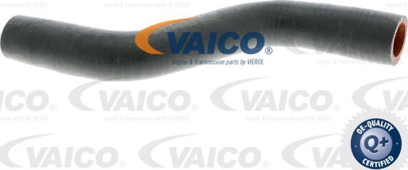 VAICO V25-0945 - Furtun ear supraalimentare www.parts5.com