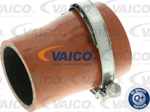 VAICO V25-1035 - Charger Intake Air Hose parts5.com