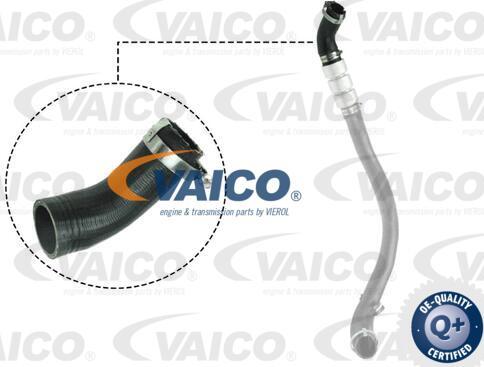 VAICO V25-1037 - Въздуховод за турбината www.parts5.com