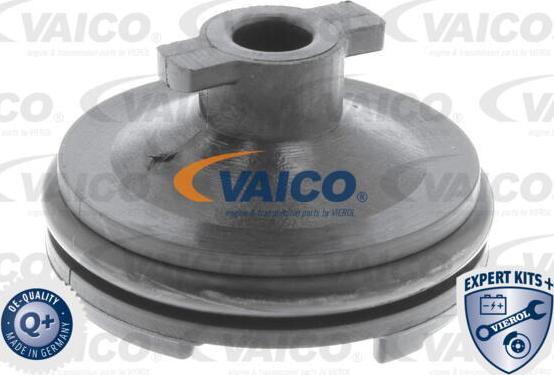 VAICO V25-1116 - Sulgurkruvi, õlivann www.parts5.com