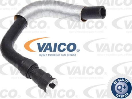 VAICO V25-2575 - Radiator Hose www.parts5.com