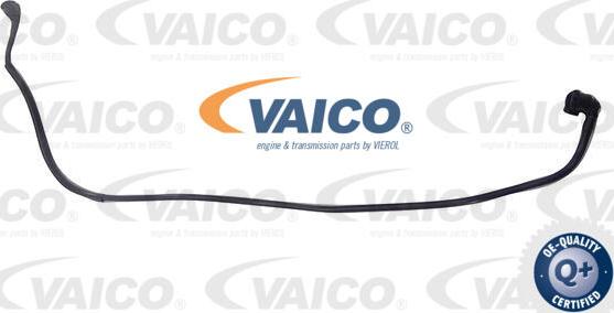 VAICO V20-4352 - Radiator Hose www.parts5.com