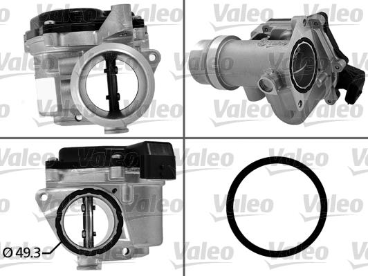 Valeo 700450 - Gaz kelebeği gövdesi www.parts5.com