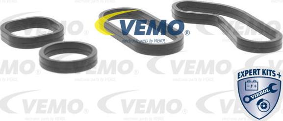 Vemo V42-60-0008 - Ψυγείο λαδιού, λάδι κινητήρα www.parts5.com