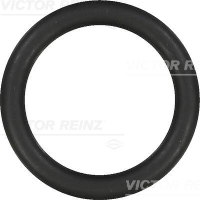 Victor Reinz 40-76919-00 - Tesnilka, sesalni razdelilnik www.parts5.com