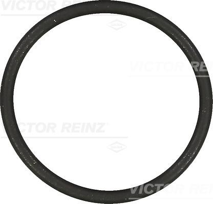 Victor Reinz 40-76854-00 - Tesnilka, sesalni razdelilnik www.parts5.com