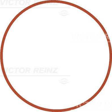 Victor Reinz 71-11404-00 - Tihend,sisselaskekollektor www.parts5.com