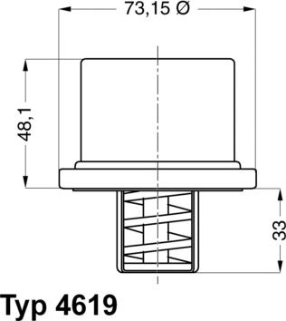 WAHLER 4619.82 - Термостат, охлаждающая жидкость www.parts5.com