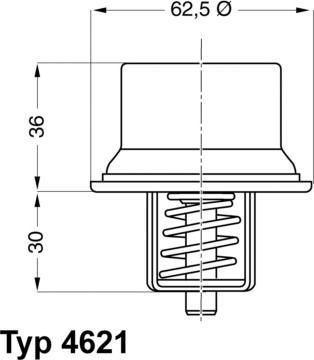 WAHLER 4621.80D - Термостат, охлаждающая жидкость www.parts5.com