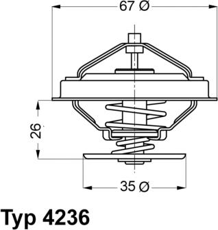 WAHLER 4236.88D - Termostato, refrigerante www.parts5.com