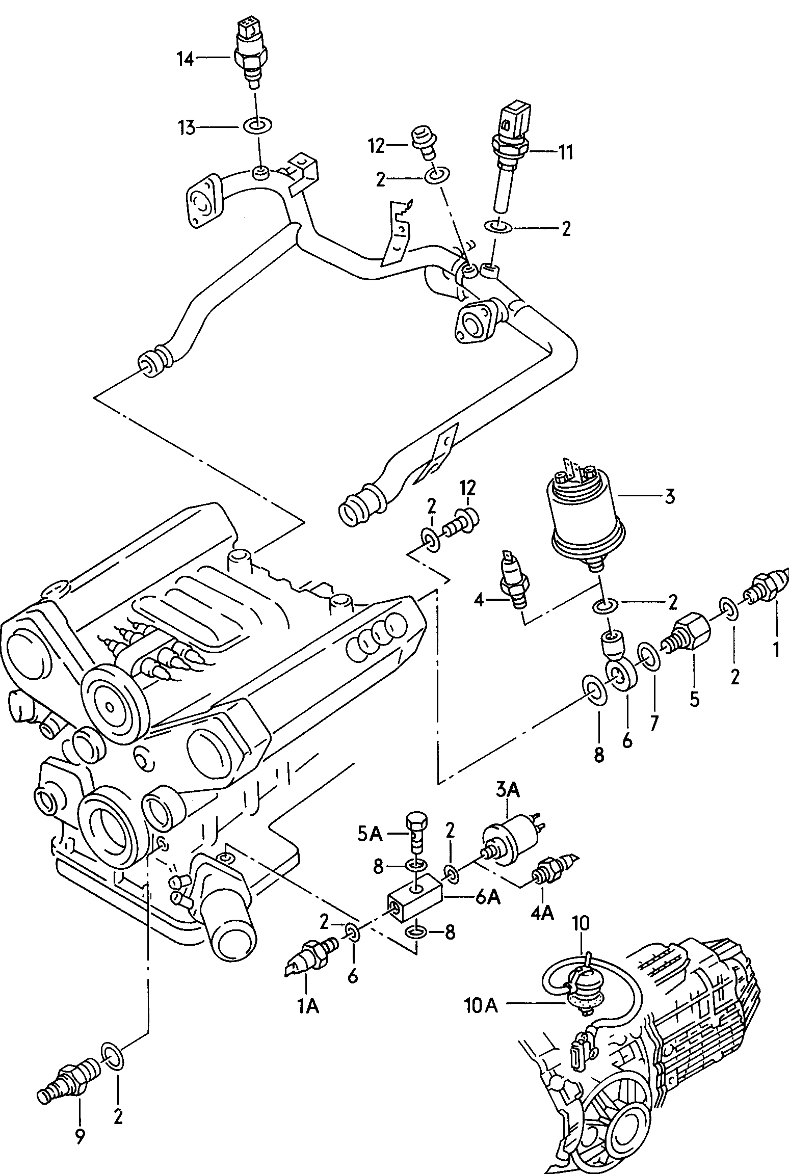 AUDI 078 919 081 C - Αισθητήρας, πίεση λαδιού www.parts5.com