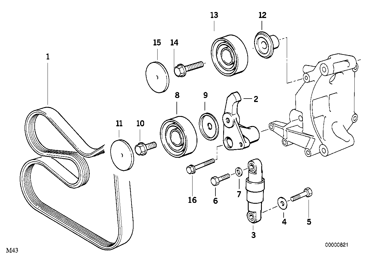 BMW 11 28 1 247 986 - Pasek klinowy wielorowkowy www.parts5.com