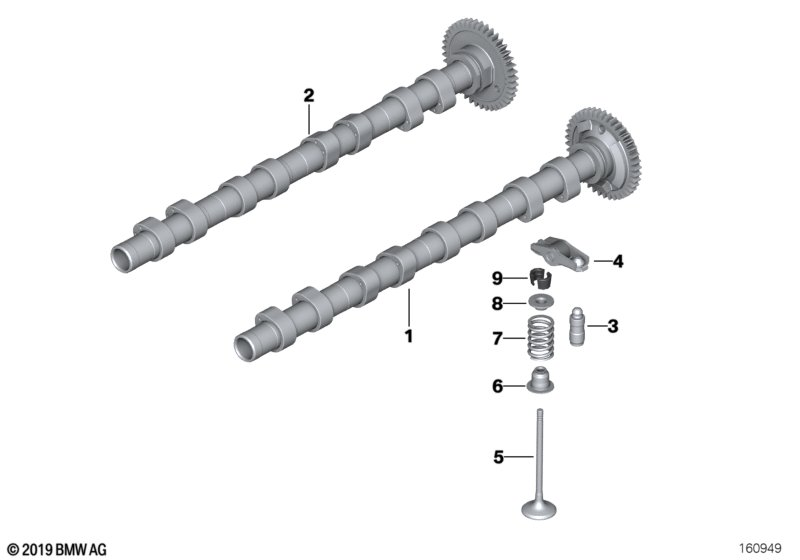 BMW 11318575437 - Camshaft parts5.com