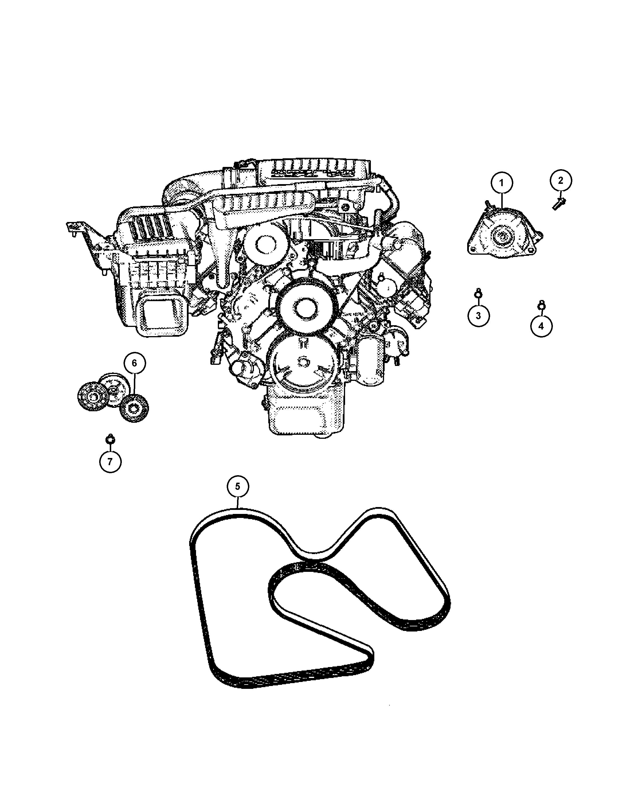 Chrysler 53032 037AM - Ιμάντας poly-V www.parts5.com