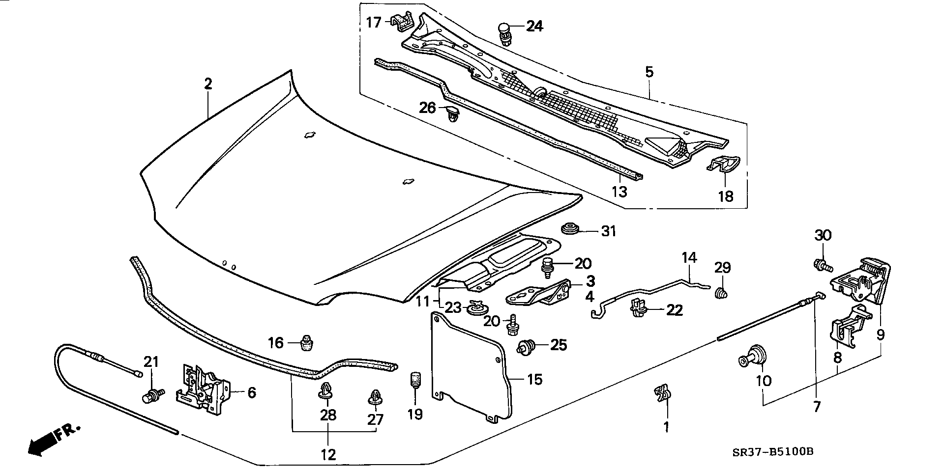 Honda 91520-SM4-C01 - Clips, acoperire decorativa si protectie www.parts5.com