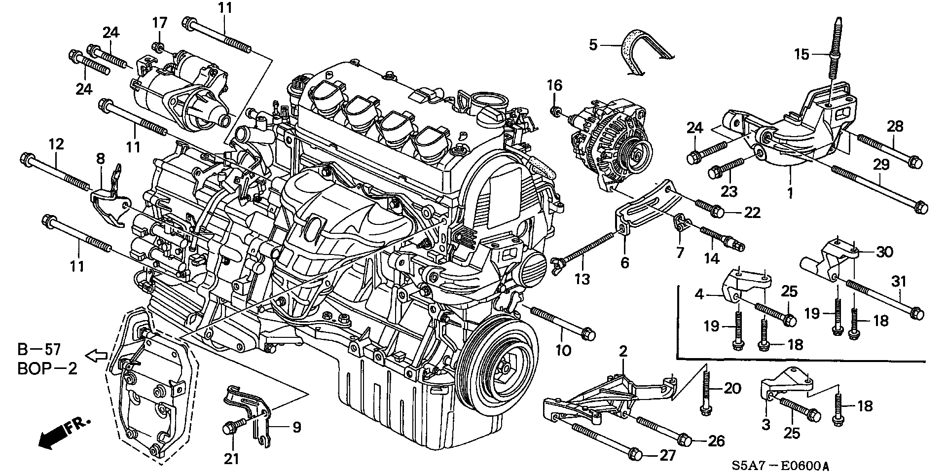 Honda 31110-PLA-E01 - Пистов ремък www.parts5.com